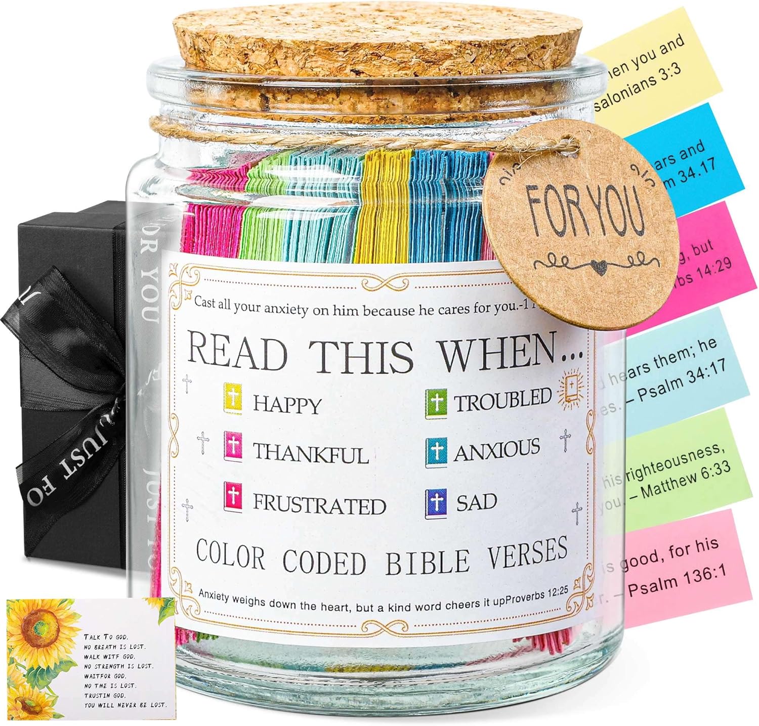 Bible Supples